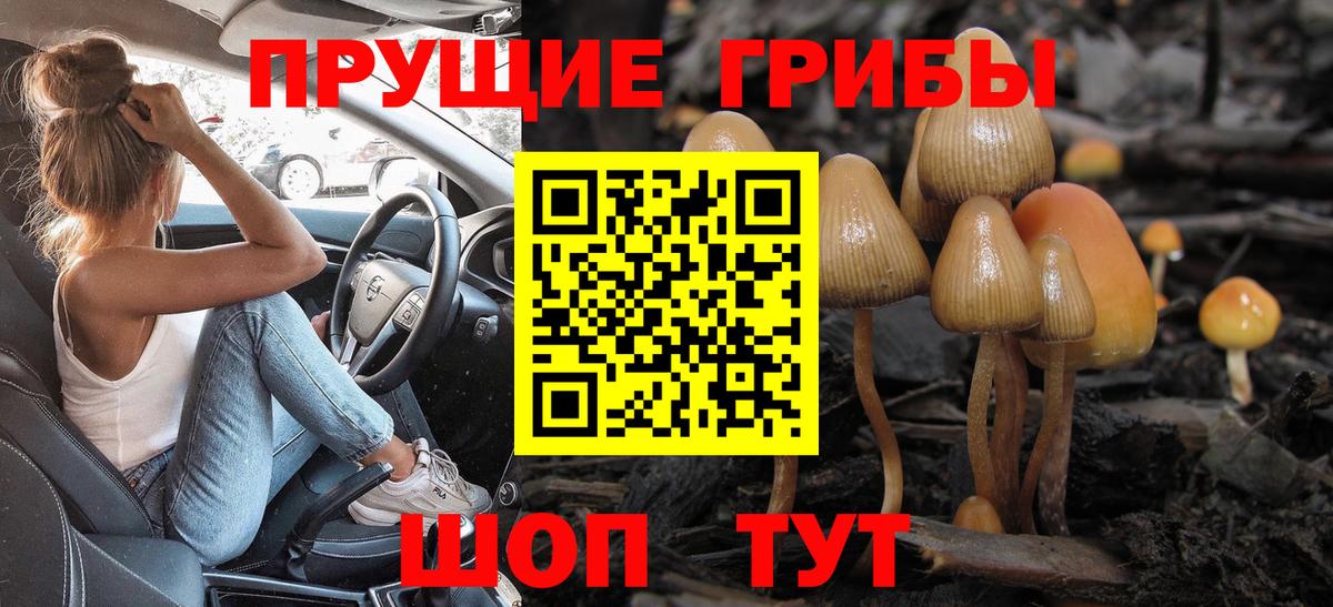 Галлюциногенные грибы Psilocybe  Вход с VPN  Нижневартовск 