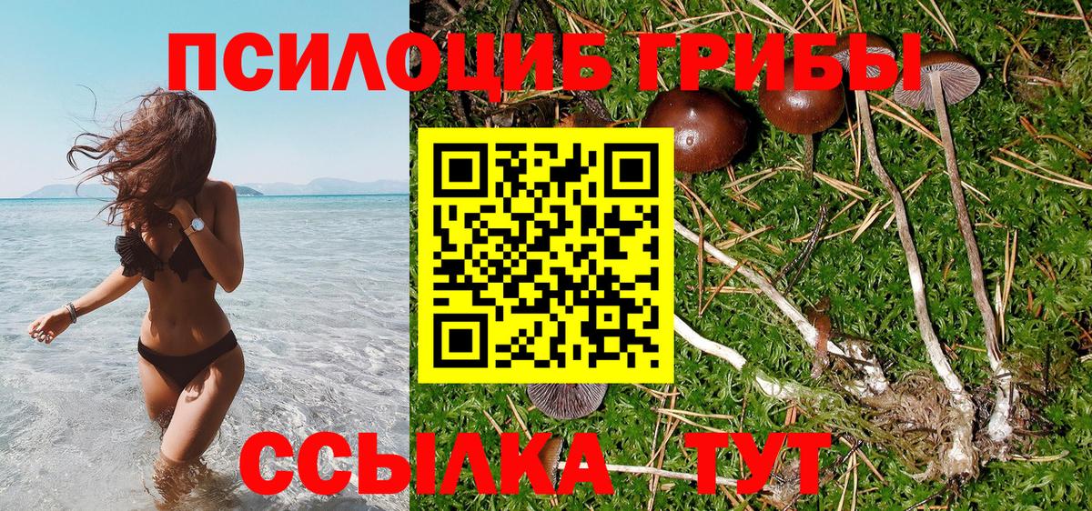 Псилоцибиновые грибы MAGIC MUSHROOMS Нижневартовск